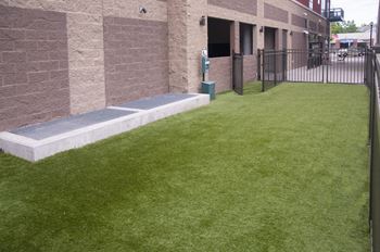 Dog park
